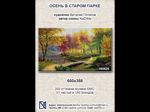 Видео: 65. Многоцветки. Надима, новый старт - организация