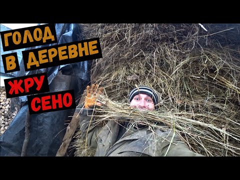 Видео: Хороший метод откорма быков