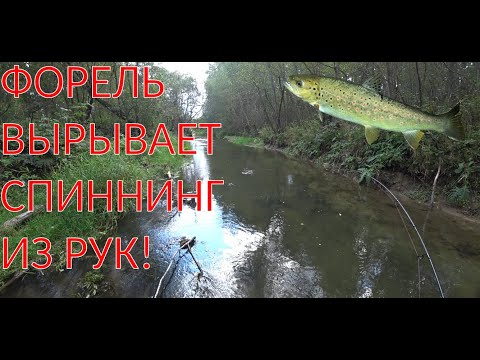 Видео: ФОРЕЛЬ ГНЕТ СПИННИНГ!!! РЫБАЛКА НА ФОРЕЛЬ #2