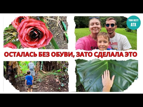 Видео: №12 Джунгли Оаху | Тернистый путь к водопаду