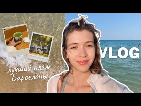 Видео: Барселонета — лучший пляж Испании | Барселона влог | Жизнь в Испании