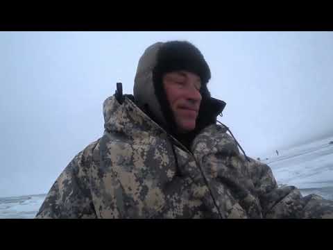 Видео: ловля корюшки с флешером. 21км. Песочное. 16.02.23.