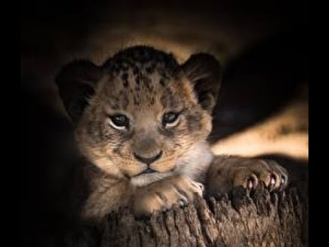 Видео: War and Magic Правильный старт за магических юнитов . Серия 1