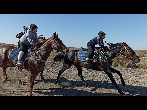 Видео: 19- октябрь 2022ж Қоңырат р/н Халила ағаның тойы