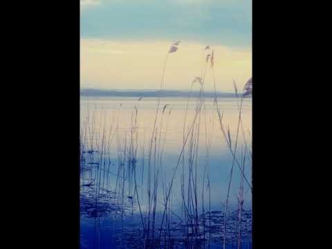 Видео: Ты река ль, моя реченька