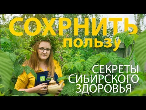 Видео: ПРОВЕРЕННЫЙ РЕЦЕПТ. Ферментация листьев смородины. Как сохранить 100 % витаминов?