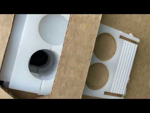 Видео: Ежевика Лохтей  в сравнении с другими ранними сортами. 25.05.2025.