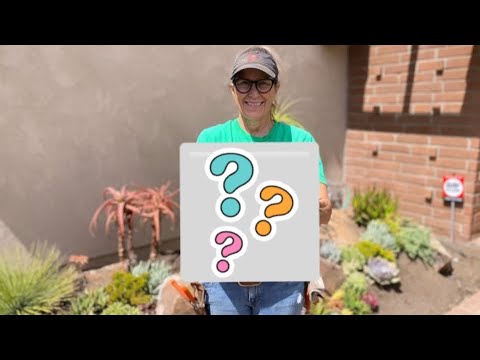 Видео: Пошаговый гобелен с сочными цветами и счастливым концом