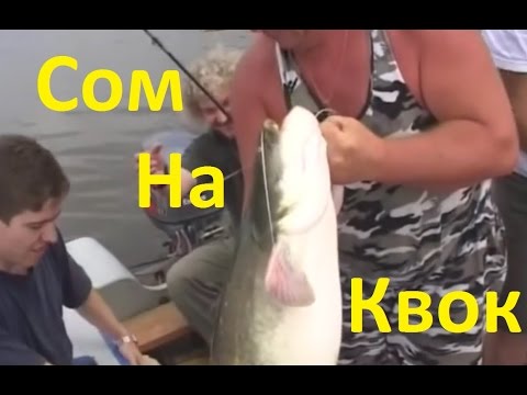 Видео: Диалоги о рыбалке  Ужение сома с квоком