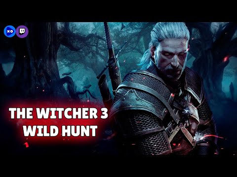 Видео: Путь Геральта из Ривии #20 [The Witcher 3] | !tg