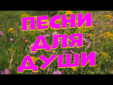 Видео: Заходи и Слушай! Здесь самые Красивые песни!