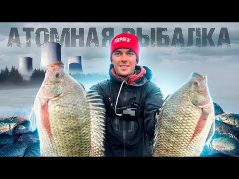 Видео: Рыбалка на озере Удомля ǀ Бешенный клёв ǀ Конфликт