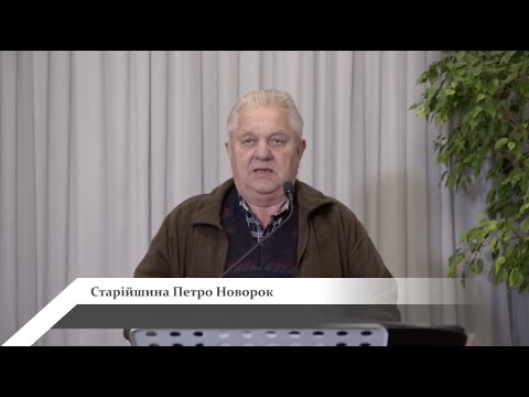 Видео: Терпение. Петр Новорок, епископ, старейшина ОЦ ХВЕ.