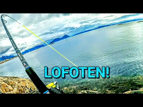 Видео: Береговая рыбалка на Лофотенских островах, Норвегия!