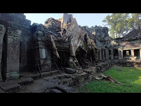 Видео: ОНИ уничтожали Ангкор столетиями. По дальним руинам