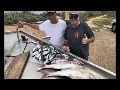 Видео: Счастливый рыбак EP147 Да, в Виктории сезон люциана.