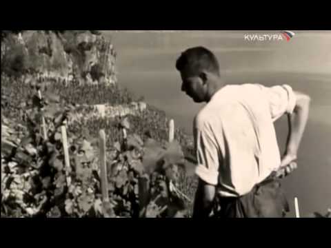 Видео: Виноградники Лаво в Швейцарии.  Дитя Трёх Солнц