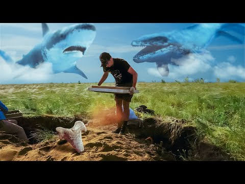 Видео: Нашли родственников МЕГАЛОДОНА | Часть 3 | Зубы больших акул и кости мозазавров в изобилии