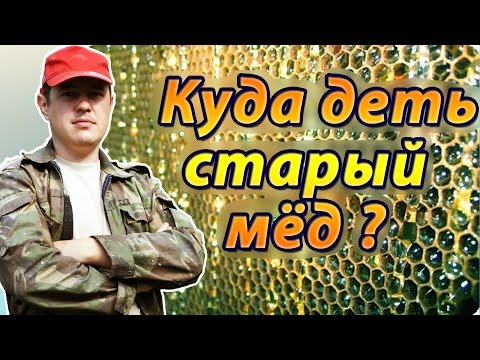 Видео: Куда деть старый мёд в сотах после зимовки ? Переработка засахаренного мёда и перги.