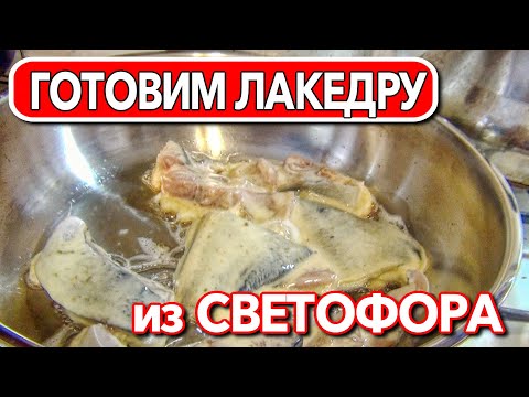 Видео: Готовим лакедру из светофора