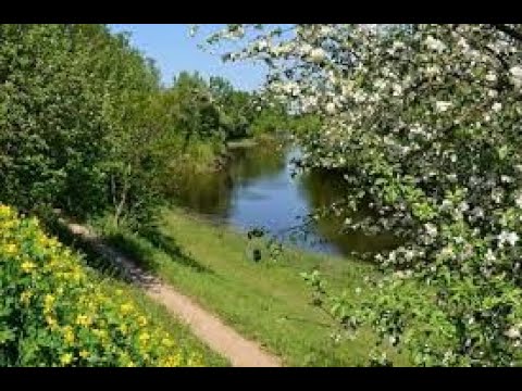 Видео: Диктант.  Травень