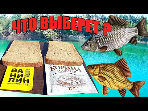 Видео: Реакция рыбы на КОРИЦУ и ВАНИЛИН!!! Подводная сьёмка.