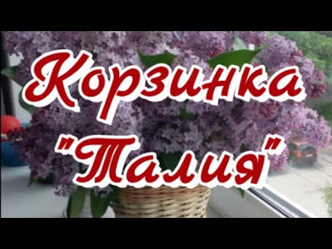 Видео: 9. Лозоплетение. Корзинка для цветов "Талия"