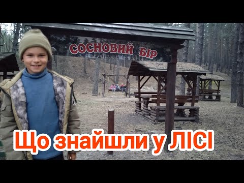 Видео: Знахідка у Лісі.