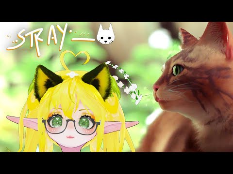 Видео: СТАЛА КОТИКОМ ♥ STRAY #1