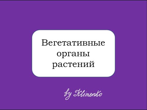 Видео: Вегетативные органы растений. Корень, стебель, лист, почка. Подготовка к ЕГЭ