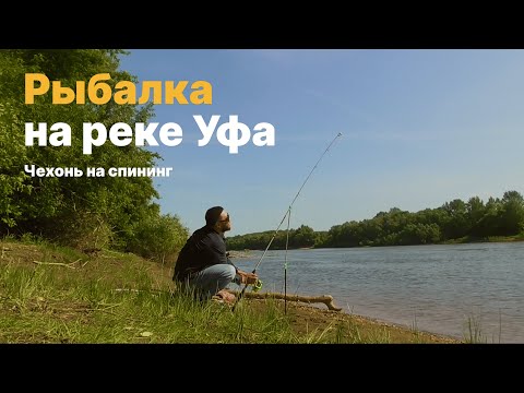 Видео: Пешком на рыбалку: спиннинг, донка и классный улов (река Уфа)