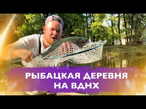 Видео: #17 КАК МОЖНО ОТЛОВИТЬСЯ ЗА ПАРУ ЧАСОВ В ОБЕД ? РЫБАЦКАЯ ДЕРЕВНЯ НА ВДНХ