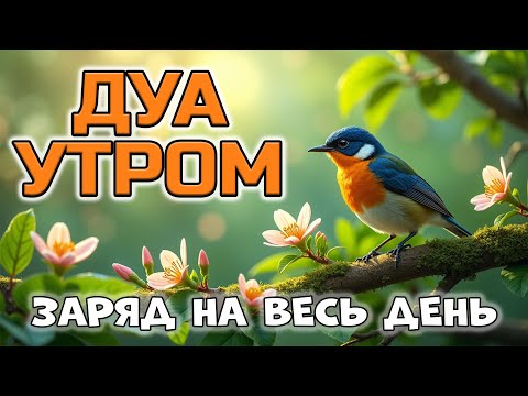Видео: ЗАРЯДИСЬ НА ВЕСЬ ДЕНЬ! ⚡ УТРЕННЕЕ ДУА ОТ ТРЕВОГИ И ДЛЯ РИЗКА 💰🤲