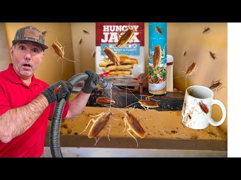 Видео: Самое эффективное средство от тараканов в Германии, о котором никто не говорит!