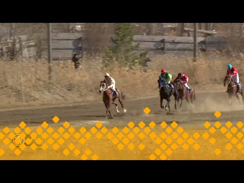 Видео: Конные скачки к 80-ти летию Великой Победы       (10.05.25)
