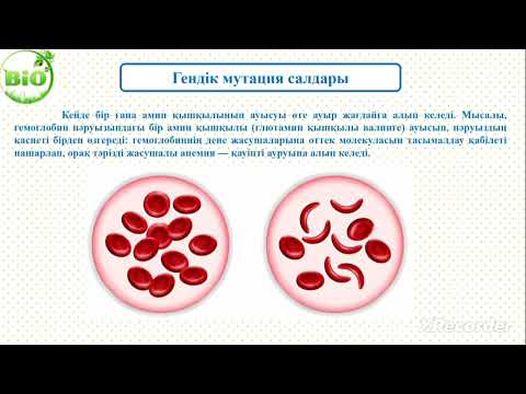 Видео: 7-сынып Белгілерді анықтауда гендердің рөлі