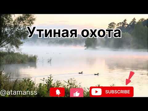 Видео: Песня ,, Утиная охота ‘’