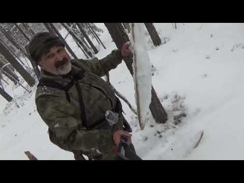 Видео: Жёсткая весновка 2024 г #10 Весновка превращается в зимовку