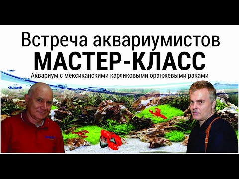 Видео: Мастер класс по запуску аквариума с мексиканскими карликовыми оранжевыми раками