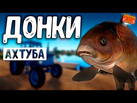 Видео: 🔴Река Ахтуба, ловля на донки разного вида рыб . РУССКАЯ РЫБАЛКА 4