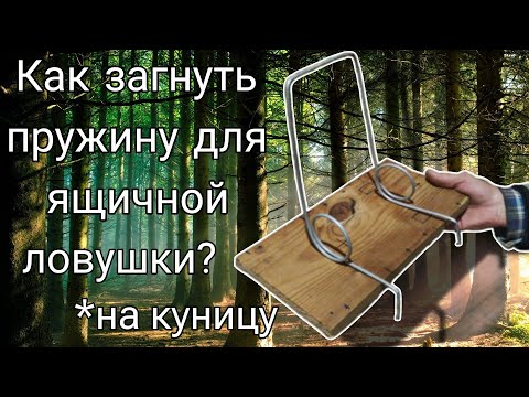 Видео: Как загнуть пружину для ящичной ловушки на "куницу".