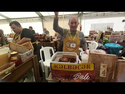 Видео: САМАЯ СЛАДКАЯ -ЯРМАРКА МЁДА БАКУ 2025 🍯BAL YARMARKASI 🍯HONEY FESTIVAL 🍯     #HONEY #баку #мёд