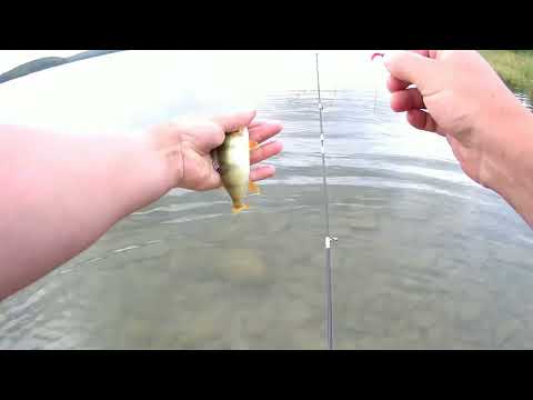 Видео: Мормышинг!Сунукль ч 2!