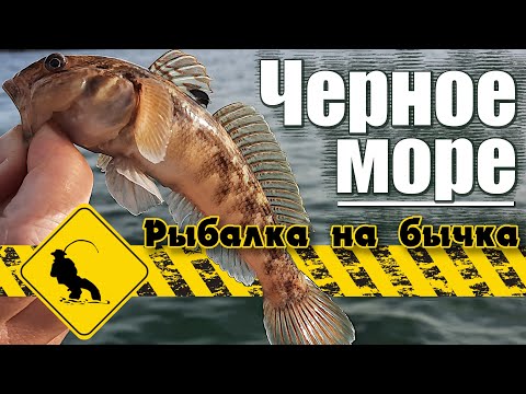 Видео: Снасть на морского бычка. Бычок-кнут на спиннинг. Черноморский бычок как ловить.  Приманка на бычка.