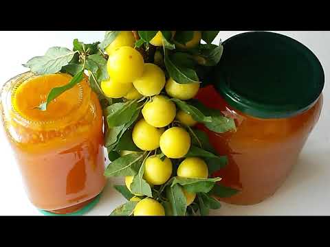 Видео: Джем из алычи. Очень ароматный и вкусный.