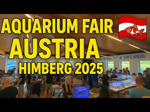 Видео: Обзор Аквариумная ярмарка в Австрии Химберг 2025 / Aquarium Fair Austria | Himberg 