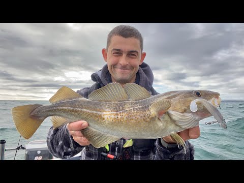 Видео: Ловля трески, окуня и сайды на приманки — Sea Fishing UK | The Fish Locker