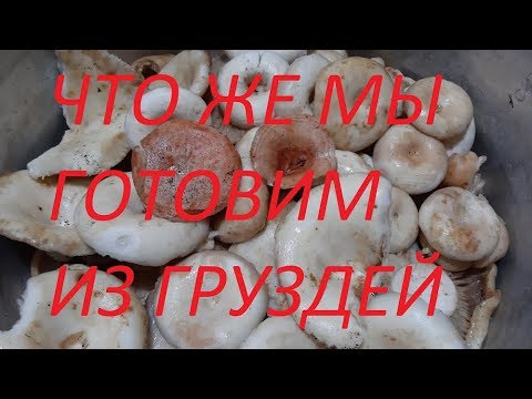 Видео: ГРУЗДИ  и  что  можно из них приготовить