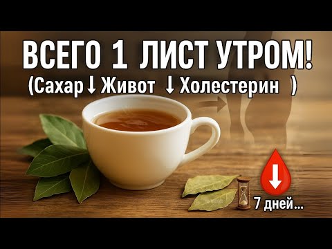 Видео: 1 ЛИСТ УТРОМ — и сахар, жир на животе и холестерин ПАДАЮТ! (натурально и научно!)