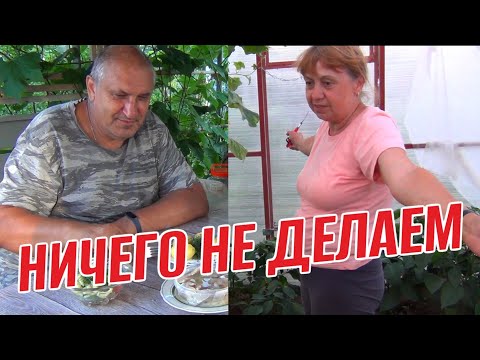 Видео: НИЧЕГО НЕ ДЕЛАЕМ